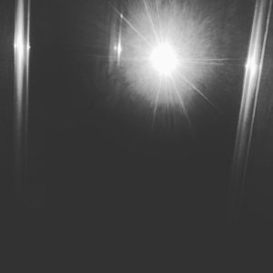 Meet your Posher, Bradley